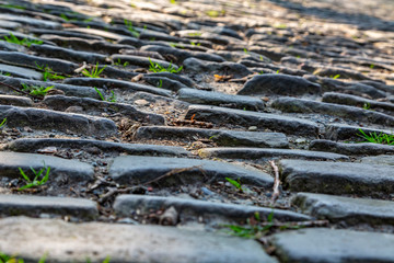 Flandres Cobblestone Road - Detail