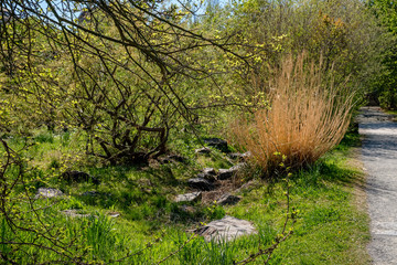 Künstlich angelegter Bachlauf im Comenius-Garten in Berlin-Neukölln