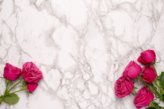 Pink roses on marble background with empty space. Top view.