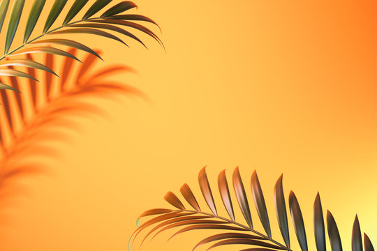 Tropical plant shadow on light orange background with empty space. 3D rendering.