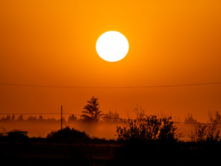 Golden sunset in countryside on a foggy day