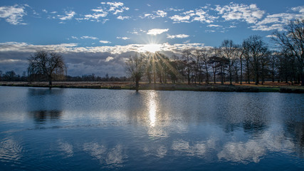 "Blu-ray", Early Morning, Leg of Mutton Pond, Bushy Park, Hampton