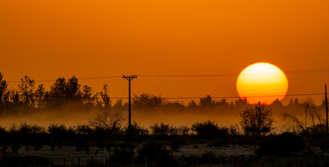 Golden sunset in countryside on a foggy day