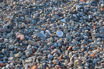 stone background on the sea