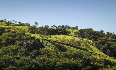 House in the mountains of Minas Gerais