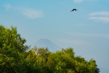 volcanes