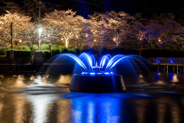 夜の噴水