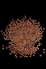 coffee beans isolated on black background op view