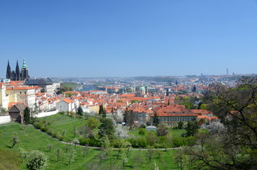 Fototapeta na wymiar Panoramic view of Prague from near Strahov Monastery