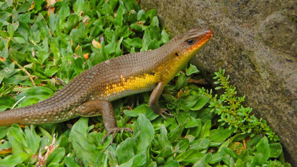 бали, индонезия, туризм