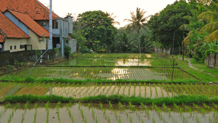 бали, индонезия, туризм