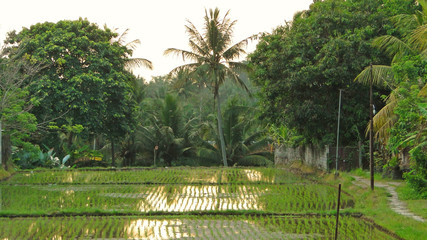 бали, индонезия, туризм