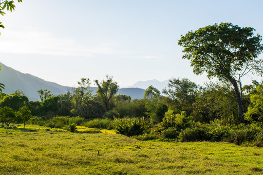 jala