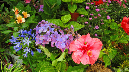 бали, индонезия, туризм