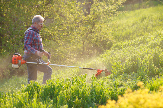 man mows the lawn grass with a lawn mower