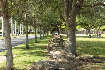 rock line 1 