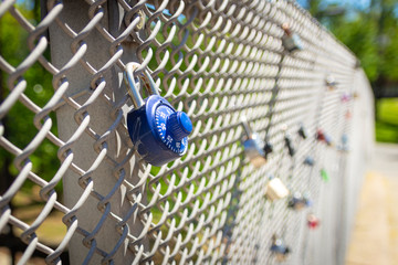 Padlocks on a fence, known as 