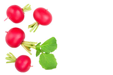 fresh whole radish isolated on white background with copy space for your text. Top view