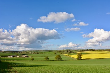 Fototapeta na wymiar The Countryside near Cheltenham, Gloucestershire, England.