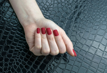 Stylish fashionable female red matte manicure, square shape
