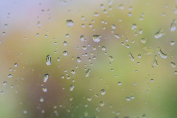 raindrops on the window