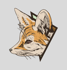Fennec fox illustration for prints