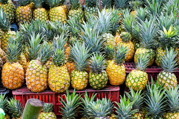 Pineapples for sale in Market in Santander, Colombia