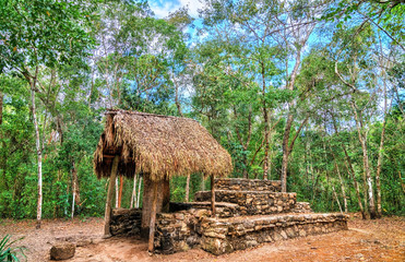 Mayan Pyramid at Coba in Mexico