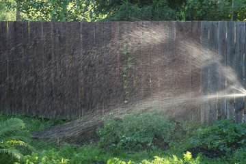 Spray of water at the wooden fence when watering the garden.