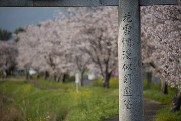 神社の鳥居