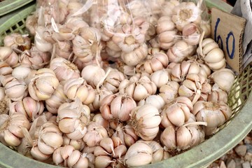garlic at the market