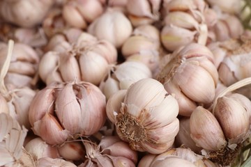 garlic at the market