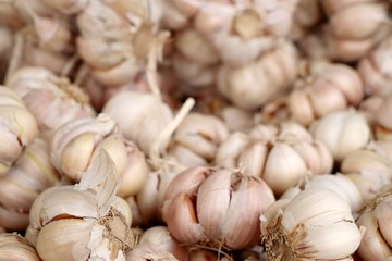 garlic at the market