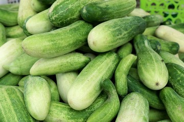 cucumber at street food