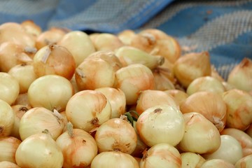 Onion at the market