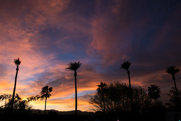 Purple Sky Desert Sunset