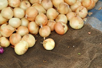 Onion at the market