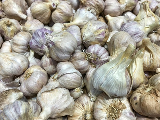 Garlic Texture