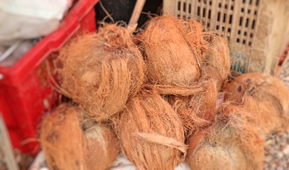 Coconut at street food