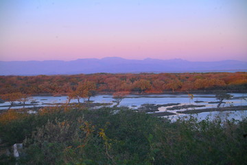 Atardecer en el manglar