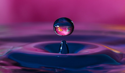 Two butterflies seem to swim inside this macro photography picture of a rebounding water drop. Purples and pinks add to the abstract, soothing formation.