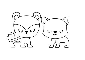 cute porcupine with cat animals