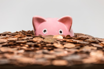 Pink piggy bank drowning in ocean of copper pennies. - obrazy, fototapety, plakaty