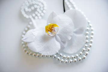 Obraz na płótnie Canvas pearl and white orchid on a white glas 