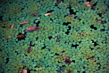 abstract background with circles