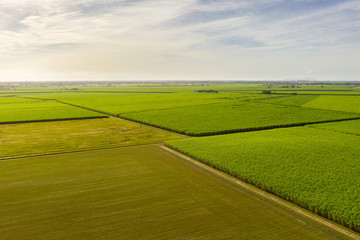 aerial view of sugar cane farm and blue sky