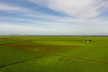 aerial view of sugar cane farm and blue sky