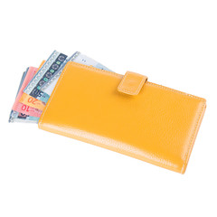 wallet or purse with dollars and credit cards on background.