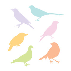 Pastel color bird silhouette clipart set