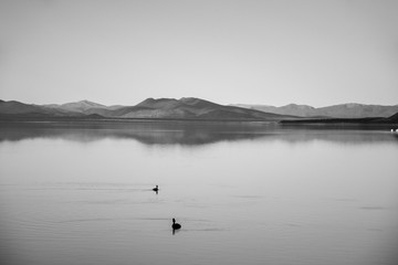 Naklejka premium black and white lake landscape with mountains in the distance 